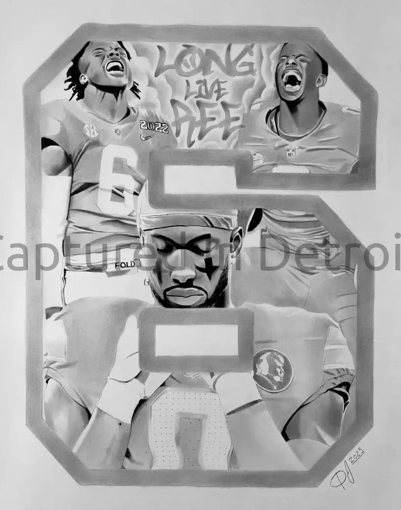 Original 18x24 Terrion Arnold Drawing Framed “6”